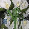 Calla in tessuto con perle